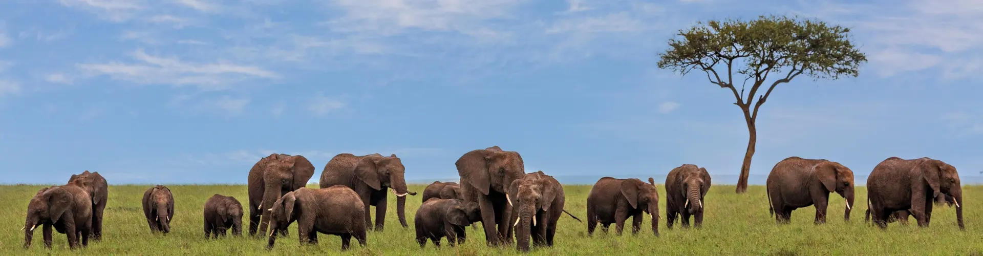 Kenya