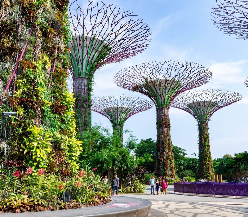 singapore group tours from india