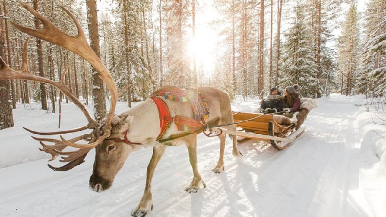 Best of Lapland & Helsinki (Winter Tour)