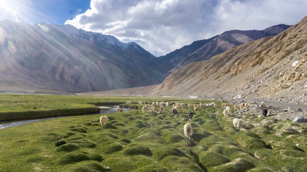 Essence of Ladakh- Ex Srinagar