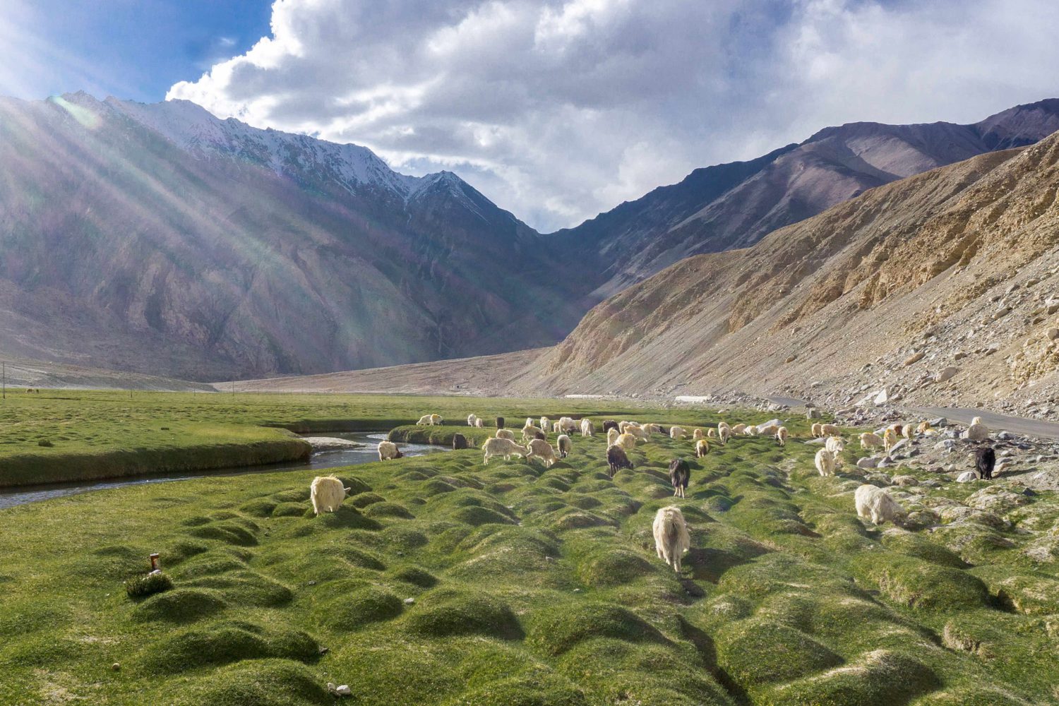 Essence of Ladakh- Ex Srinagar